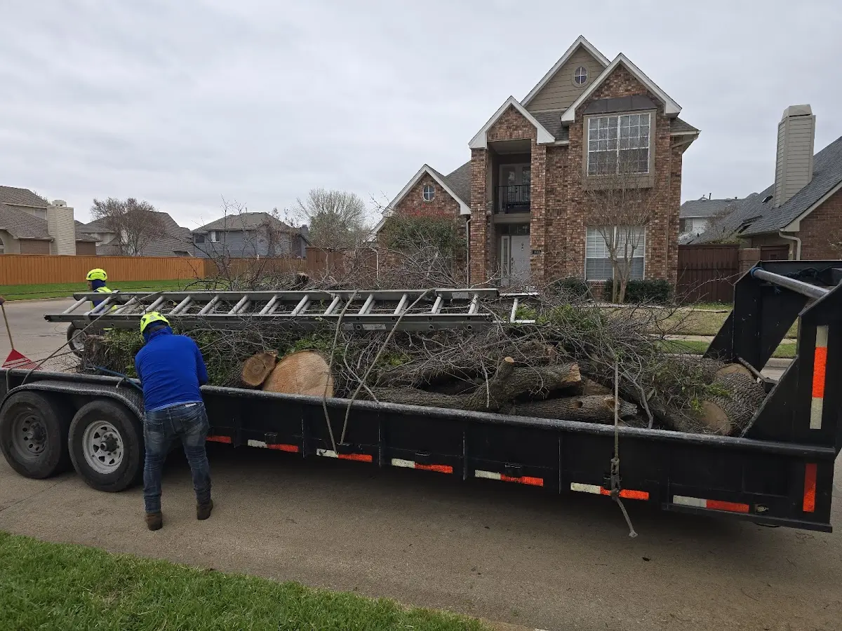 Expert Tree Removal with proper safety equipment in Strasburg